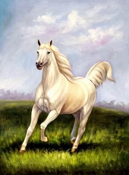 unknow artist Horses 021 Sweden oil painting art
